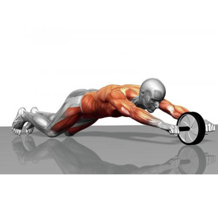AbTrainer, ρόδα κοιλιακών με λαβές με επένδυση - Image 9
