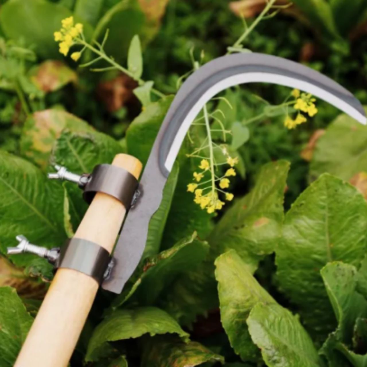 AgroTool, Κλαδευτήρι Κλαδιών, Αγκάθια και Βλάστηση - Image 9