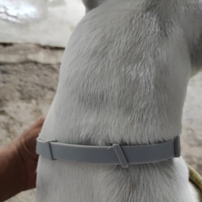 AnimalProtect, κολάρο για τσιμπούρια και ψύλλους για σκύλους - Image 2