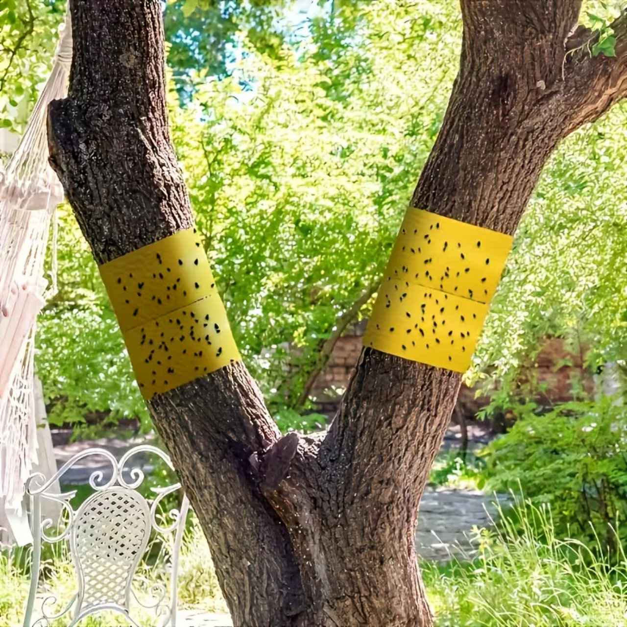 BarrierTape, κολλητική ταινία για την παγίδευση εντόμων - Image 3
