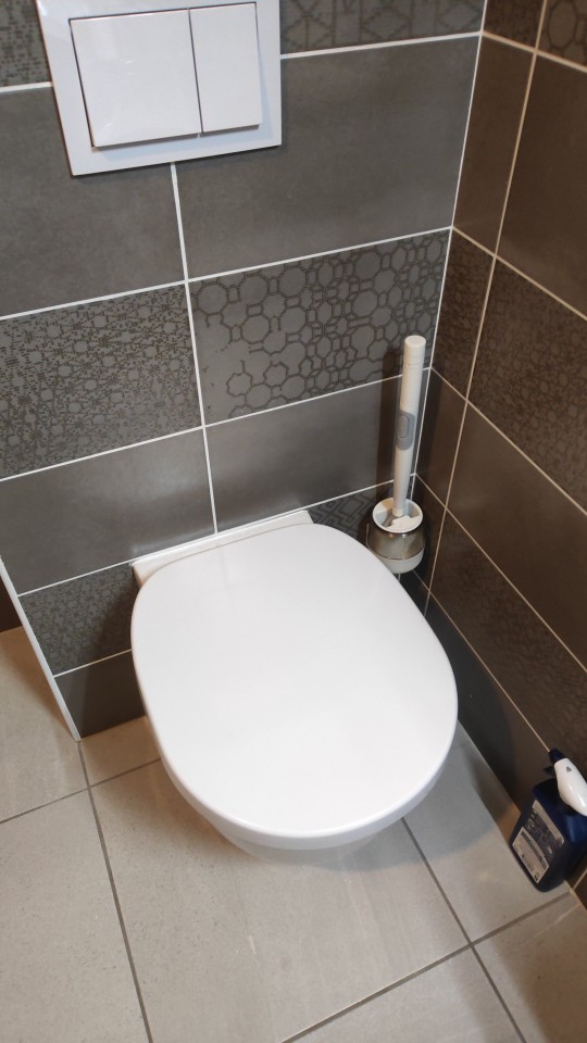 BestBrush, το επαναστατικό βούρτσα τουαλέτας με ένα κουμπί για την απελευθέρωση καθαριστικού - Image 10