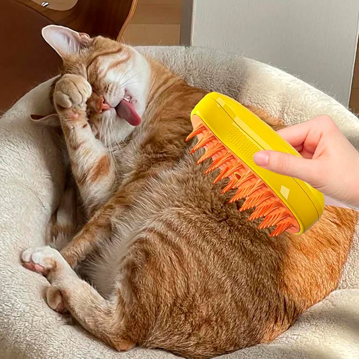 Brushy, ηλεκτρική βούρτσα για κατοικίδια με ψεκασμό νερού - Image 3