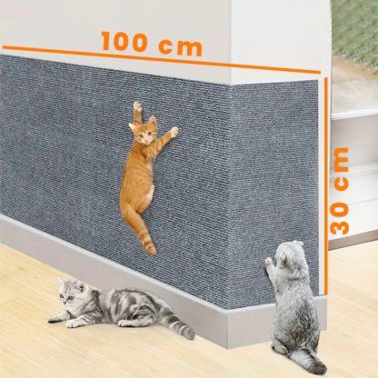 CATSTR - Image 3