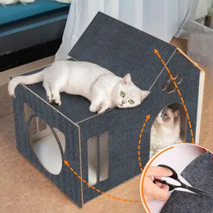 CATSTR - Image 5