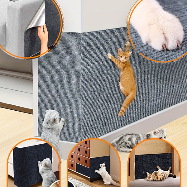 CATSTR - Image 6