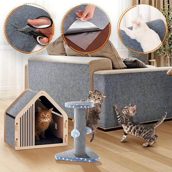 CATSTR - Image 7