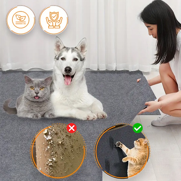 CATSTR - Image 8