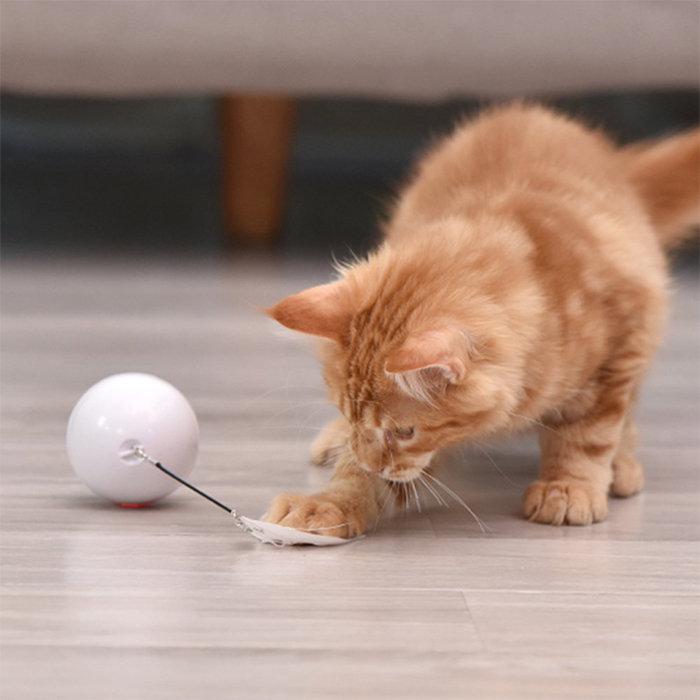 CatToy, ένα παιχνίδι για γάτες που αναπηδά και κουνάει το φτερό - Image 2