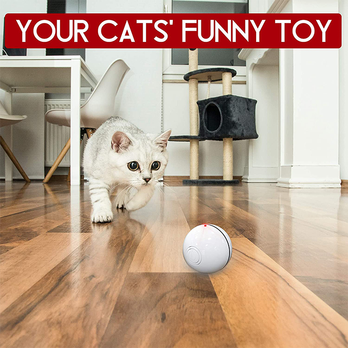 CatToy, ένα παιχνίδι για γάτες που αναπηδά και κουνάει το φτερό - Image 7