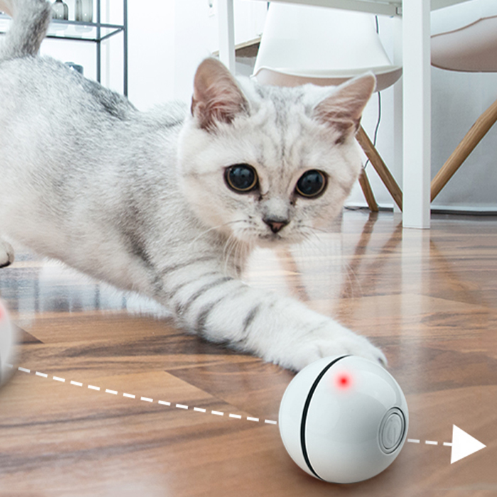 CatToy, ένα παιχνίδι για γάτες που αναπηδά και κουνάει το φτερό - Image 10