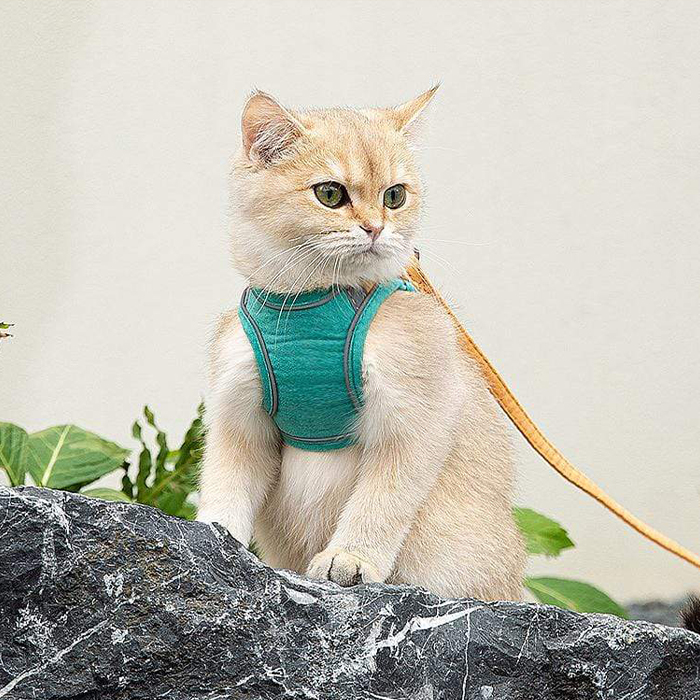 CatVest, γιλέκο με λουρί για γάτες - Image 3