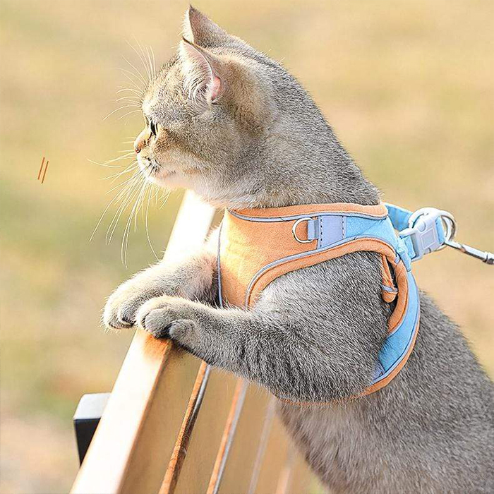 CatVest, γιλέκο με λουρί για γάτες - Image 4