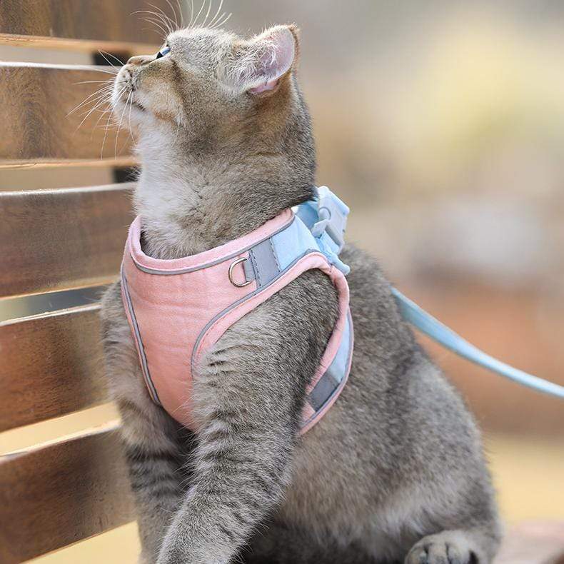 CatVest, γιλέκο με λουρί για γάτες - Image 5