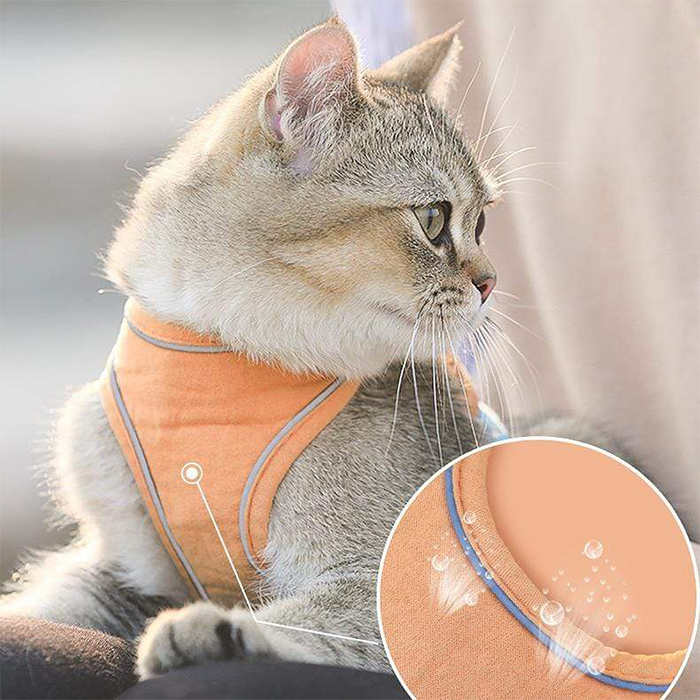 CatVest, γιλέκο με λουρί για γάτες - Image 9