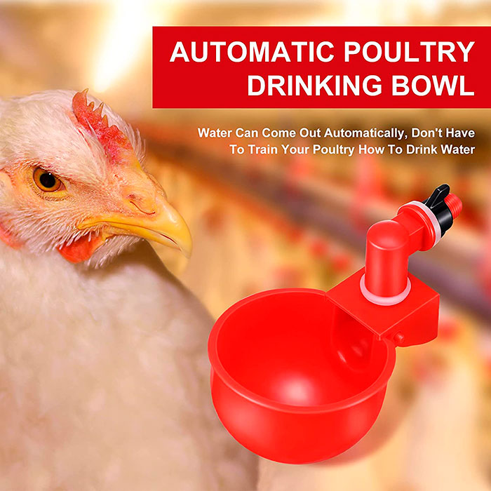ChickenBowl, ποτίστρα για κότες και άλλα πουλερικά (6 τεμάχια) - Image 4