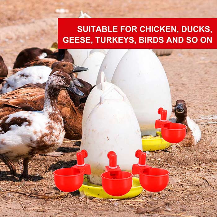 ChickenBowl, ποτίστρα για κότες και άλλα πουλερικά (6 τεμάχια) - Image 5