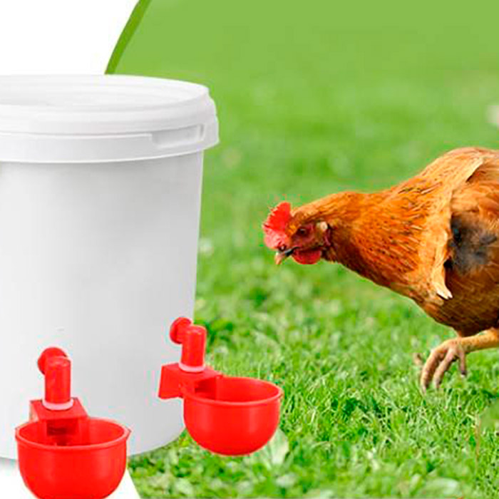 ChickenBowl, ποτίστρα για κότες και άλλα πουλερικά (6 τεμάχια) - Image 8