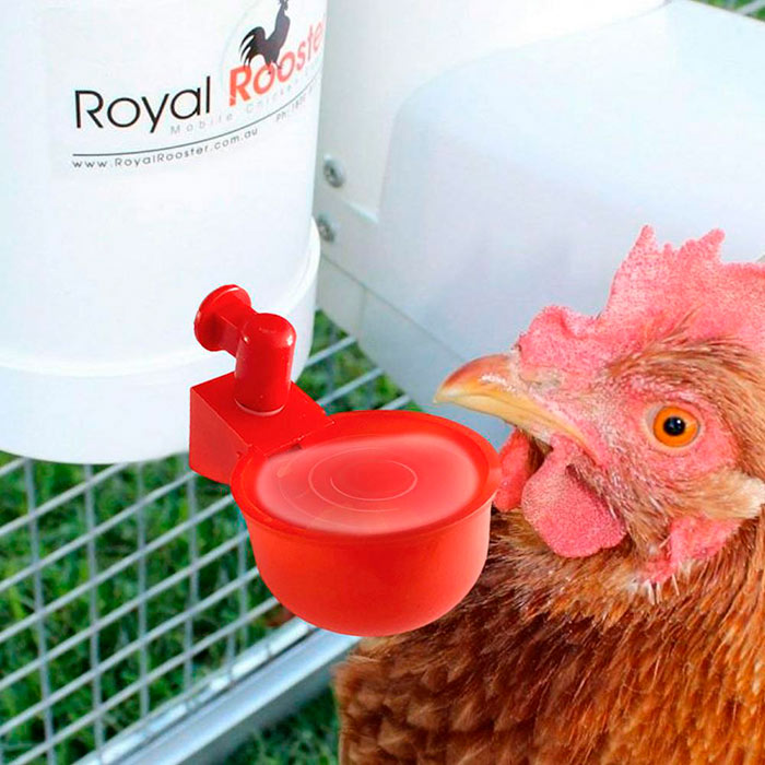ChickenBowl, ποτίστρα για κότες και άλλα πουλερικά (6 τεμάχια) - Image 9