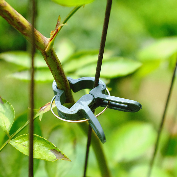 ClampsGarden, χρήσιμοι και ανθεκτικοί σφιγκτήρες για  εξωτερικών και εσωτερικών φυτών (20 τεμ.) - Image 4