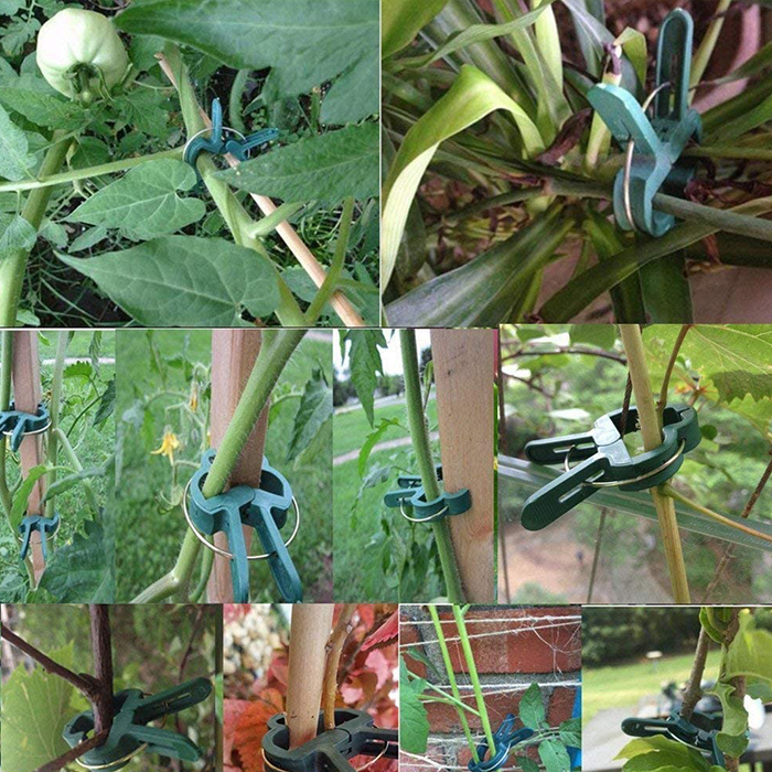 ClampsGarden, χρήσιμοι και ανθεκτικοί σφιγκτήρες για  εξωτερικών και εσωτερικών φυτών (20 τεμ.) - Image 5