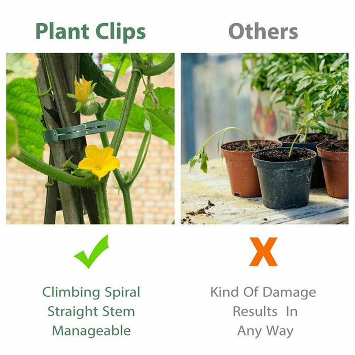 ClampsGarden, χρήσιμοι και ανθεκτικοί σφιγκτήρες για  εξωτερικών και εσωτερικών φυτών (20 τεμ.) - Image 7