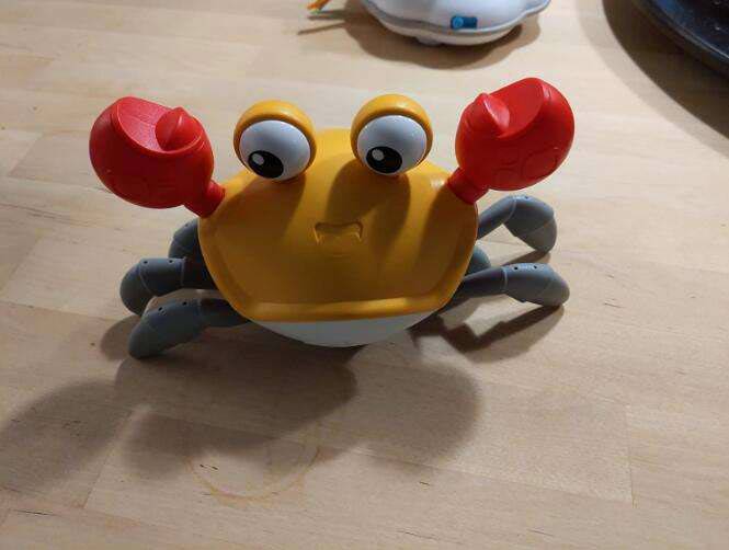 CrawlingCrab, ένα  καβούρι που κινείται όταν το πλησιάζετε - Image 1