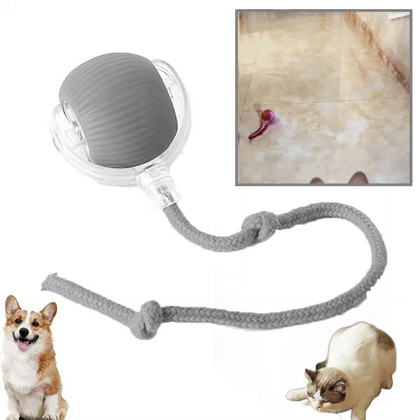 DOGTOY - video