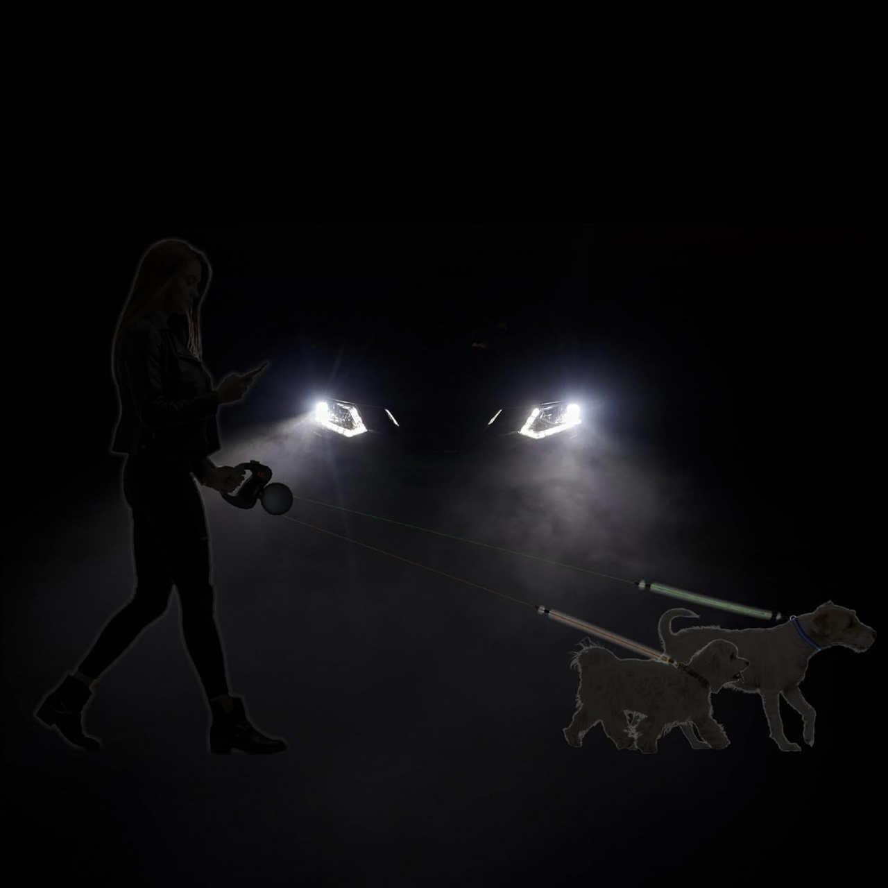 DoubleLeash, αναδιπλούμενο λουρί για δύο σκύλους - Image 10