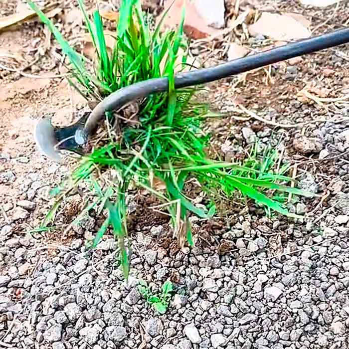 Κατάλληλο επίσης για την απομάκρυνση φυτών που αναπτύσσονται κατά μήκος πλακόστρωτων και πεζοδρομίων.