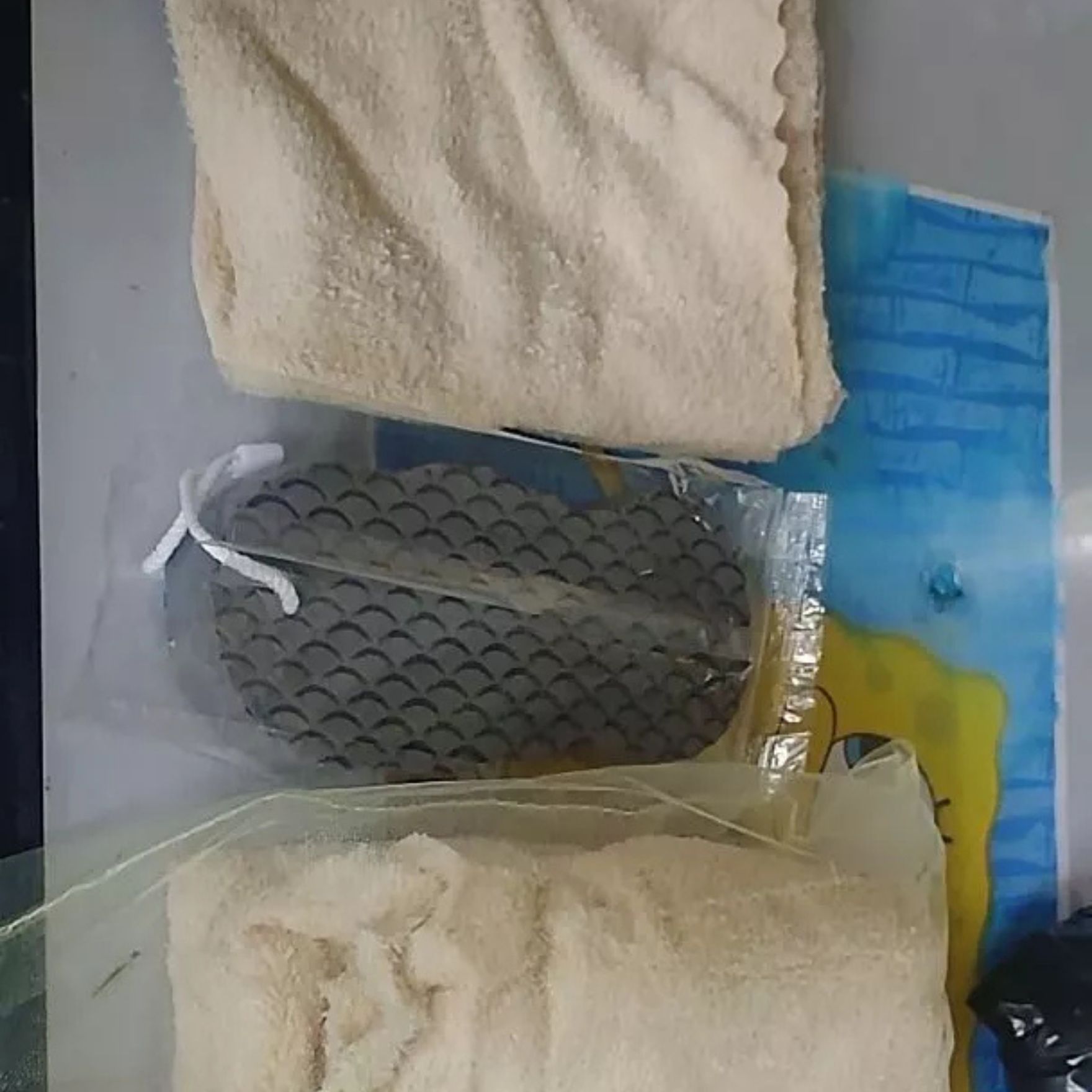 ExfoSponge, σφουγγάρι απολέπισης δέρματος - Image 7