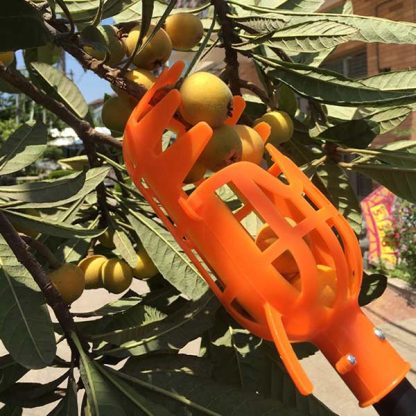 FruitBasket, Καλάθι Συλλογής Φρούτων - Image 3