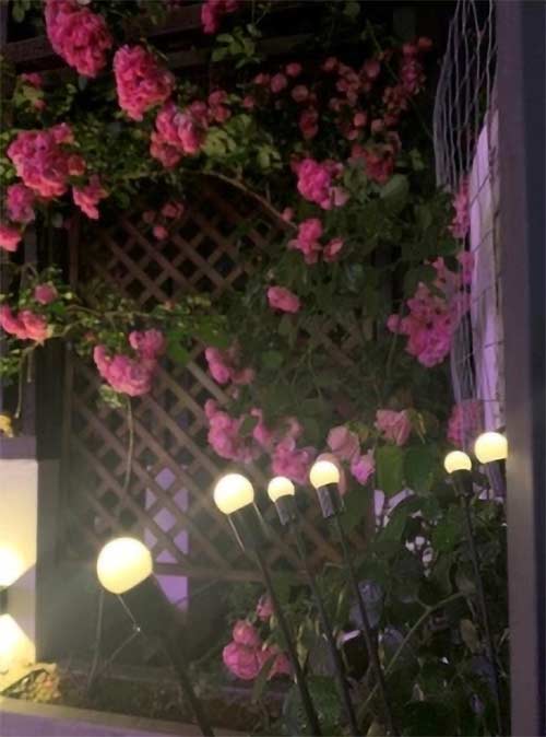 FireflyLights, ηλιακό φωτιστικό κήπου με 6 φώτα - Image 10