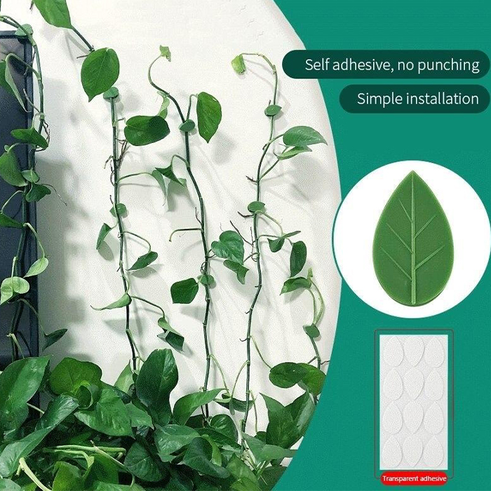FixtureClips, 10 + 10 ΔΩΡΕΑΝ αυτοκόλλητες βάσεις για κλαδιά φυτών - χωρίς τρύπημα! - Image 5