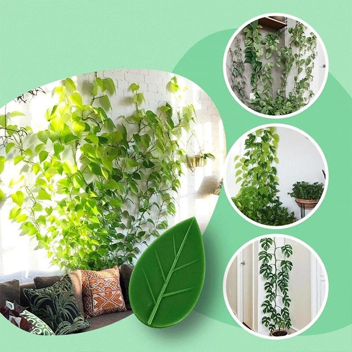 FixtureClips, 10 + 10 ΔΩΡΕΑΝ αυτοκόλλητες βάσεις για κλαδιά φυτών - χωρίς τρύπημα! - Image 6