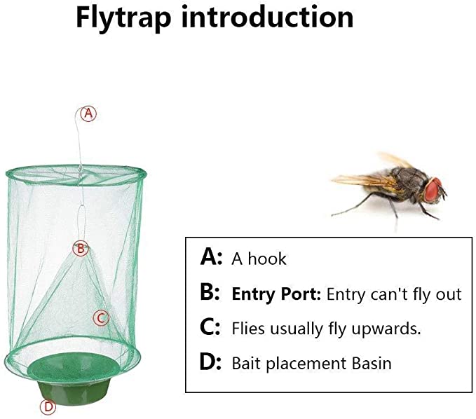 FlyCatcher, ένα δίχτυ για να πιάνεις έντομα και ζωύφια - Image 4