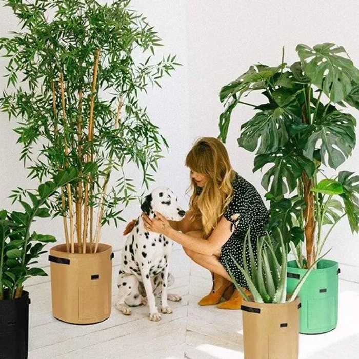 FoldingGarden, φορητό υφασμάτινο παρτέρι - Image 3