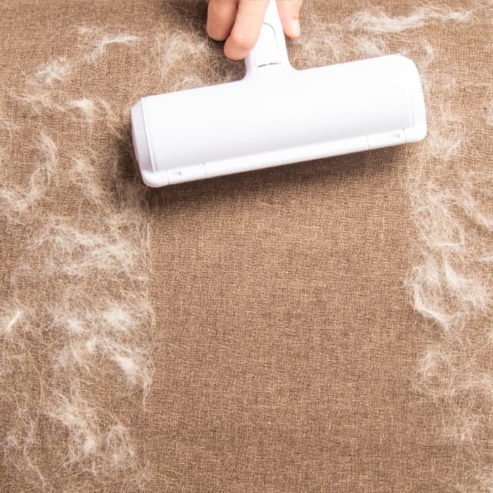 FurRemover, ένας επαναχρησιμοποιούμενος κύλινδρος απομάκρυνσης τρίχων - Image 10