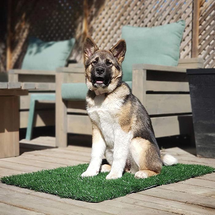 GrassMat, ένα χαλάκι με την εμφάνιση φυσικού γρασιδιού - Image 5