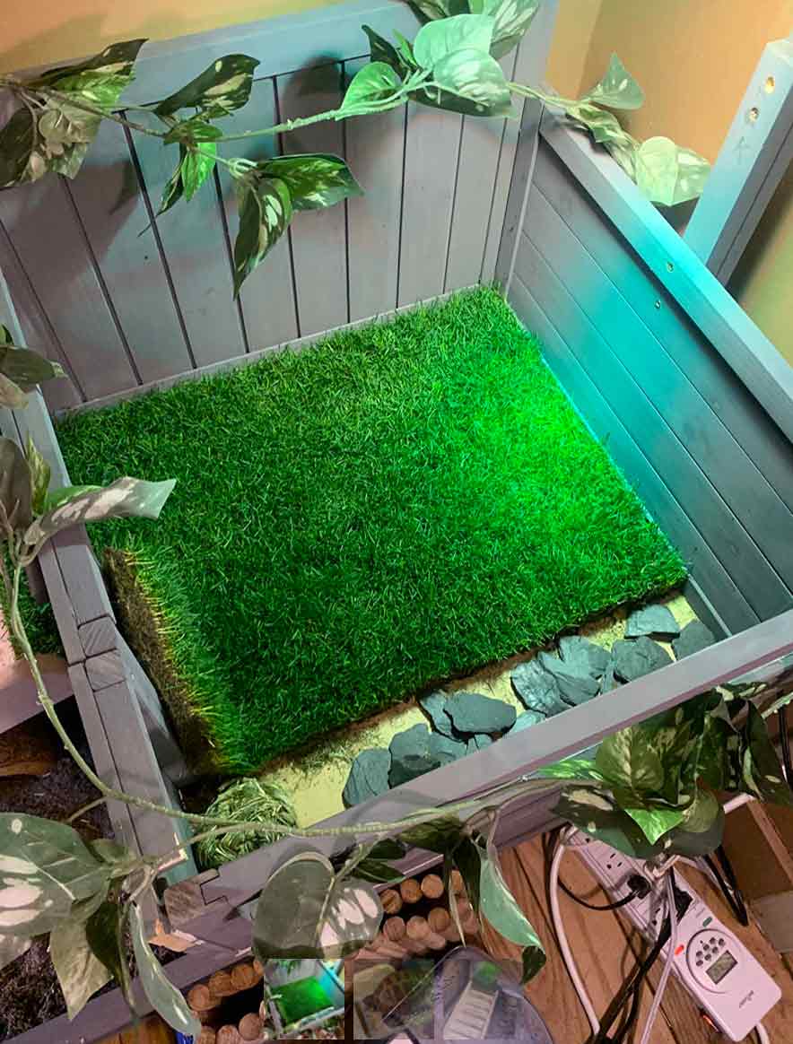 GrassMat, ένα χαλάκι με την εμφάνιση φυσικού γρασιδιού - Image 10