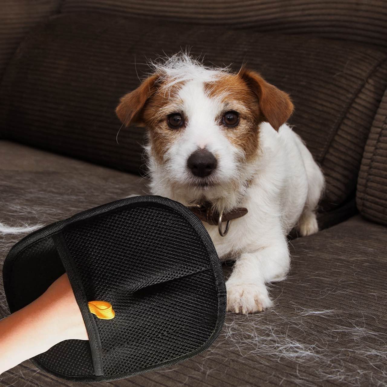 GroomyGlove, διπλής όψης γάντι περιποίησης κατοικίδιων - Image 8