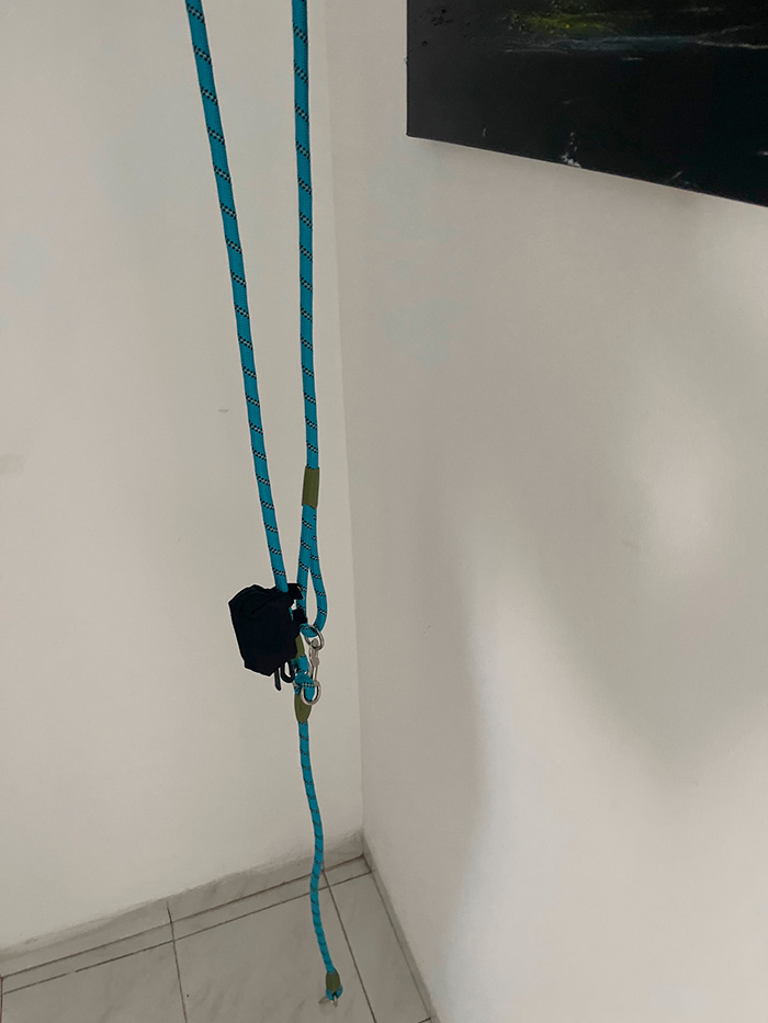 HandsFree, ένα λουρί για hands-free βόλτα σκύλου - Image 10