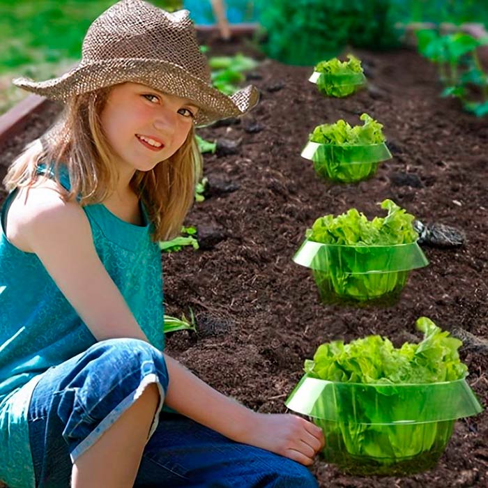 LettuceProtect, προστασία για μαρούλια και άλλες καλλιέργειες (10 τεμάχια) - Image 7