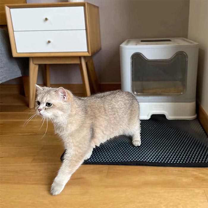 LitterMat, χαλάκι γάτας που εγκλωβιζει την  άμμο - Image 2