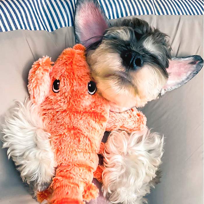 LobsterToy, ένα διαδραστικό παιχνίδι κατοικίδιου σε σχήμα αστακού - Image 3