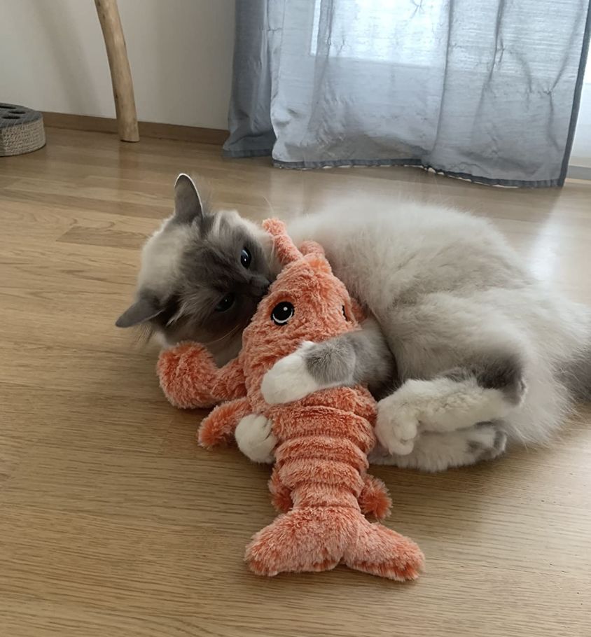 LobsterToy, ένα διαδραστικό παιχνίδι κατοικίδιου σε σχήμα αστακού - Image 10