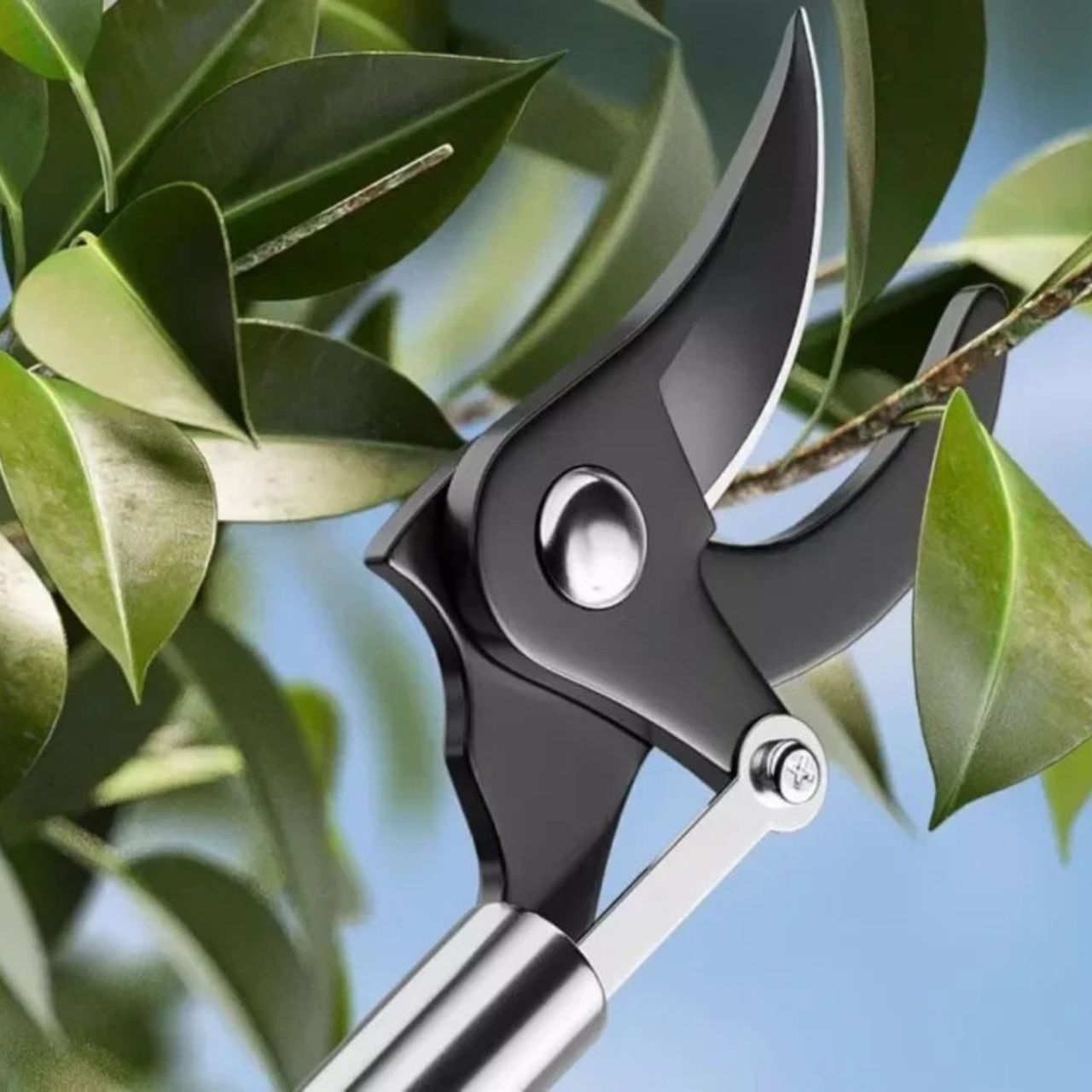 LongShears, κλαδευτήρια - Image 1