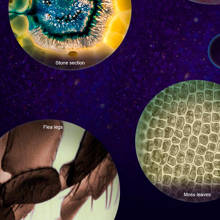 MicroscopeKit, φορητός μικροσκόπιο για παιδιά - Image 9