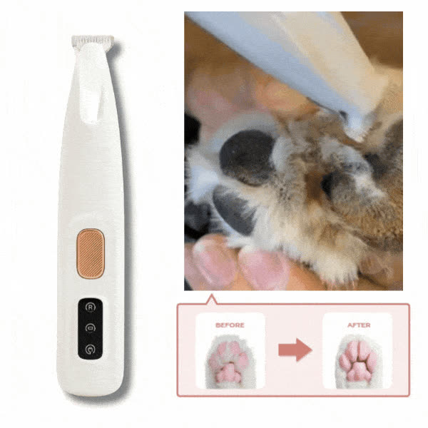 PAWTREAMER - video