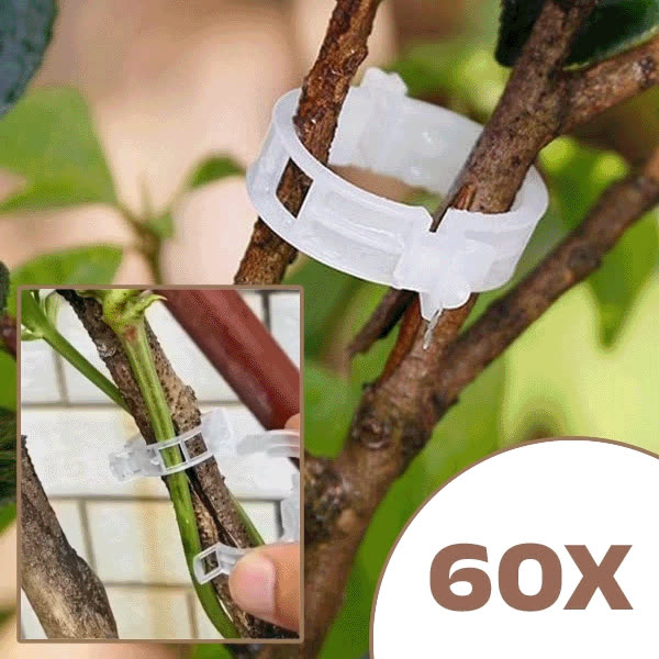 PLANTCLIP - video