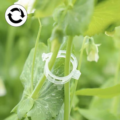 PLANTCLIP - Image 4